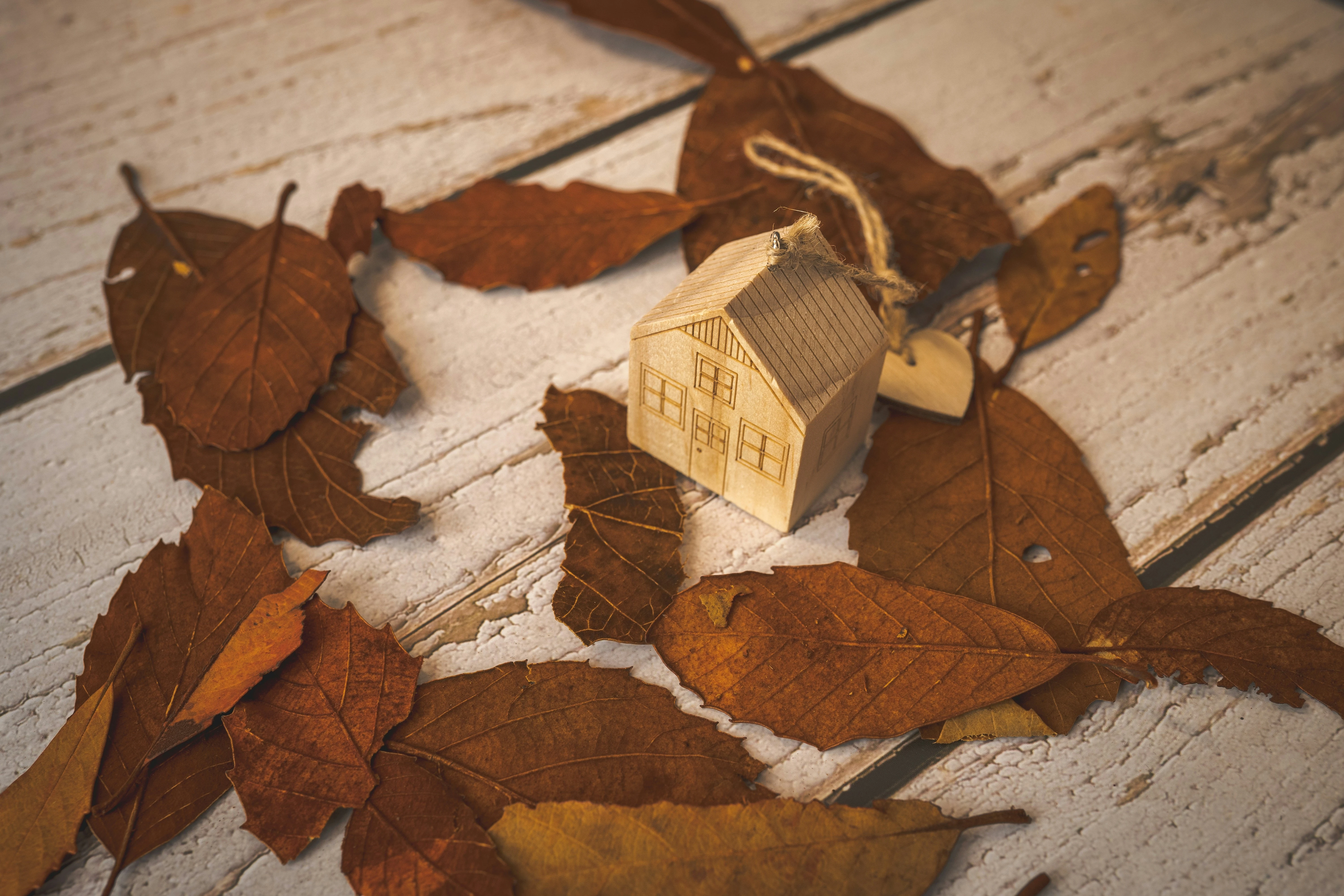 Neue Brandl-Seminare: Herbst 2026